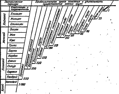 Чтобы не было в море тайн - doc2fb_image_03000045.png