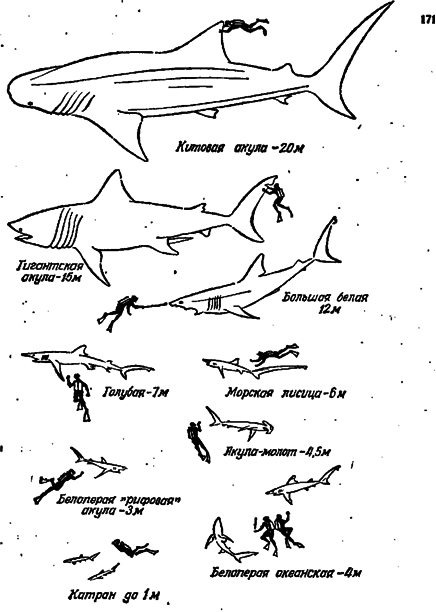 Чтобы не было в море тайн - doc2fb_image_0300004C.png