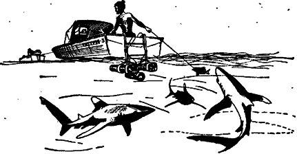 Чтобы не было в море тайн - doc2fb_image_0300004F.png