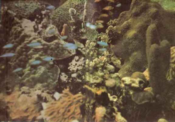 Чтобы не было в море тайн - p0002sel.jpg