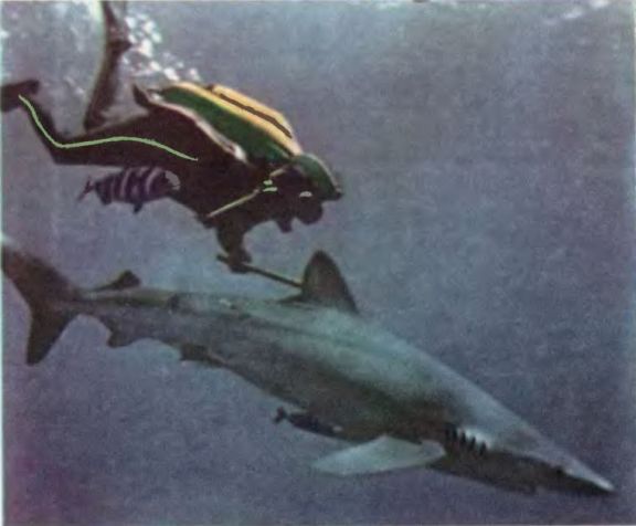 Чтобы не было в море тайн - p0033sel.jpg