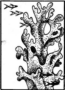 Чтобы не было в море тайн - p0004sel.jpg