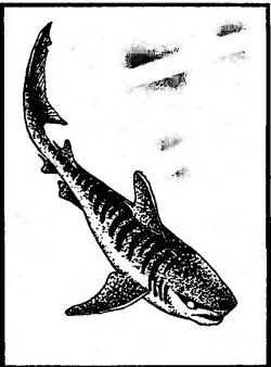 Чтобы не было в море тайн - p0036sel.jpg