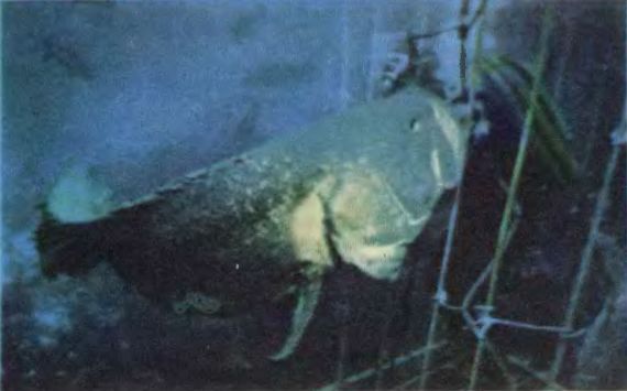 Чтобы не было в море тайн - p0054sel.jpg