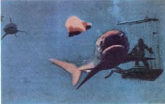 Чтобы не было в море тайн - p0056sel.jpg