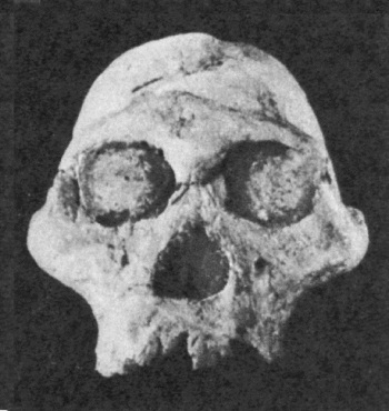 100 Великих археологических открытий - i_001.jpg