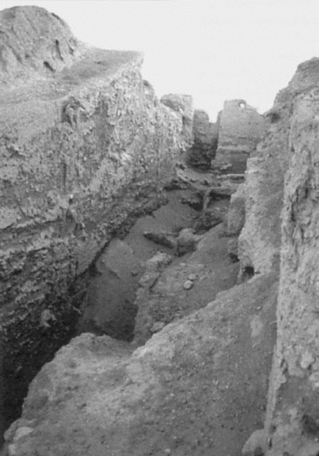 100 Великих археологических открытий - i_012.jpg