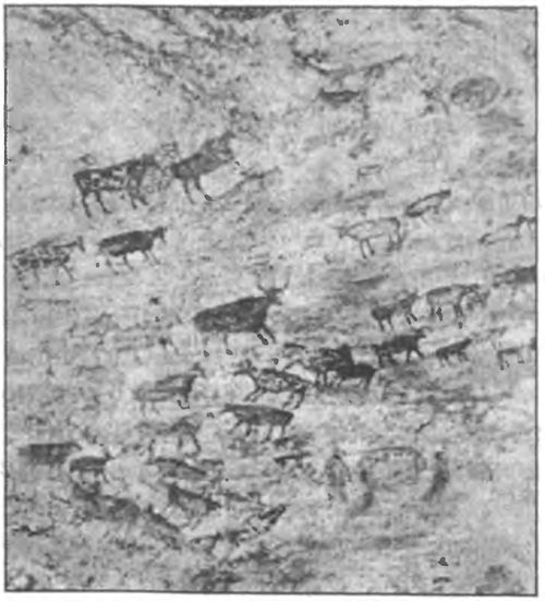 Загадки антропологии. - i_030.jpg