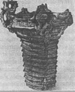 Загадки антропологии. - i_057.jpg