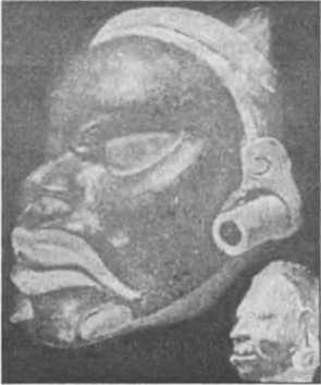 Загадки антропологии. - i_063.jpg