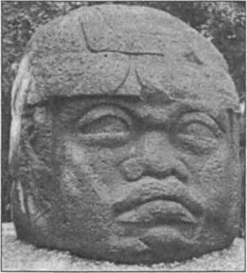 Загадки антропологии. - i_066.jpg