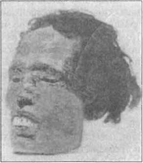 Загадки антропологии. - i_077.jpg