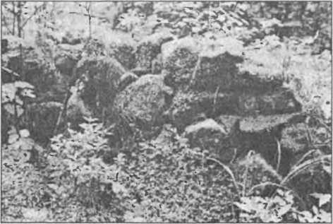 Загадки антропологии. - i_078.jpg