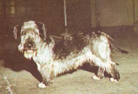 Энциклопедия собаки. Рабочие собаки - i_130.jpg