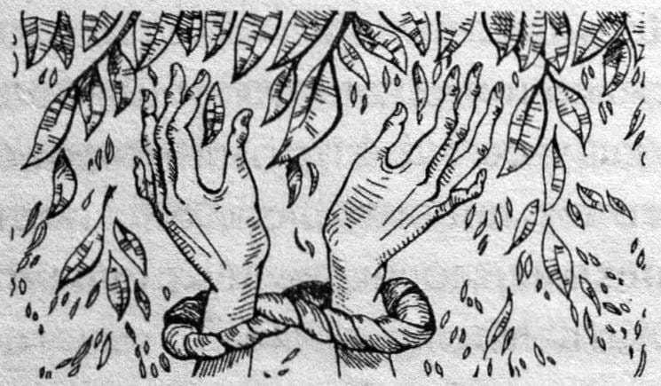 Покупатели мечты - _39.jpg