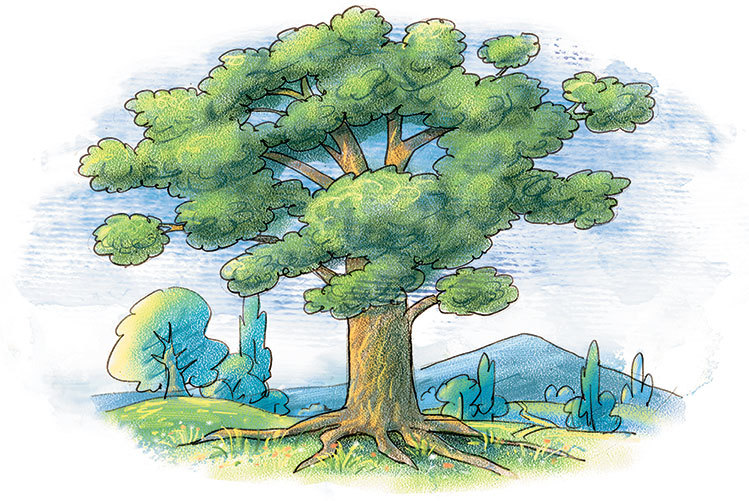 Дом на дереве - i_002.jpg