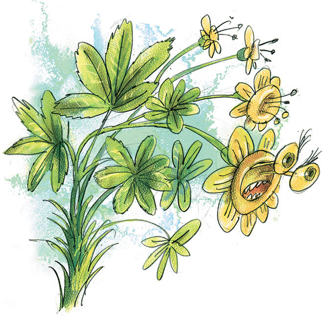 Дом на дереве - i_009.jpg