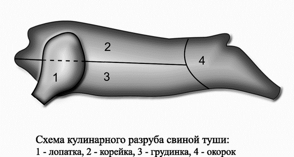 Профессия повар. Учебное пособие - i_024.png