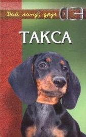 Такса - автор Барановский Виктор Александрович 