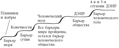 Мудрость, часть 1 - _6.png