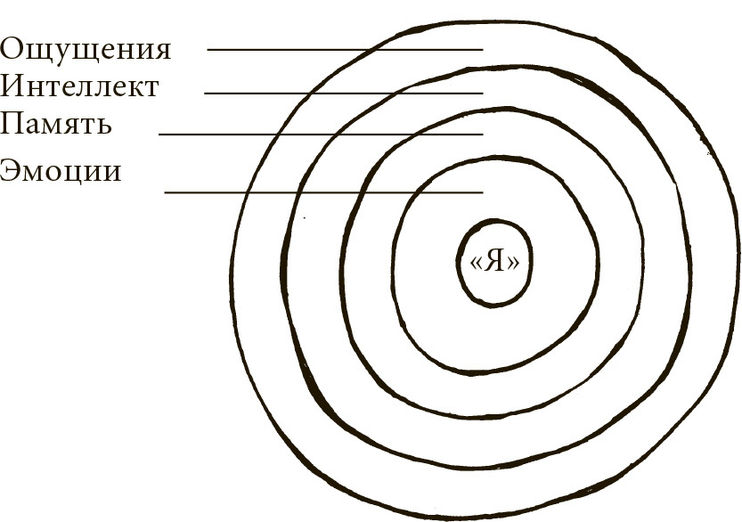 Техника одушевления предметов. Книга II - ris17.jpg