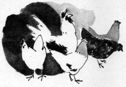 Данка и Янка - i_017.jpg