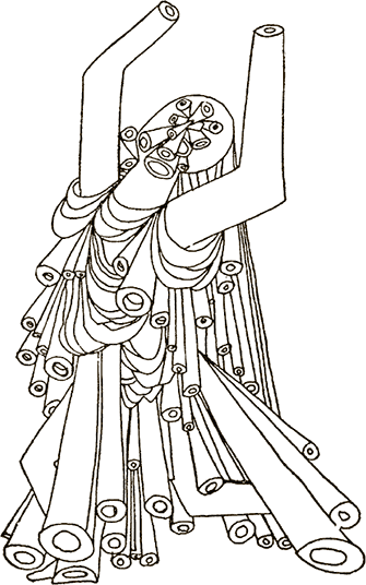 Мозг и душа. Как нервная деятельность формирует наш внутренний мир - i_016.png