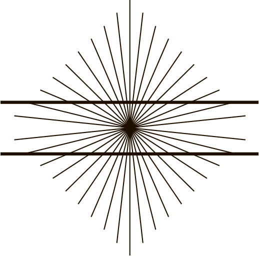 Мозг и душа. Как нервная деятельность формирует наш внутренний мир - i_022.png