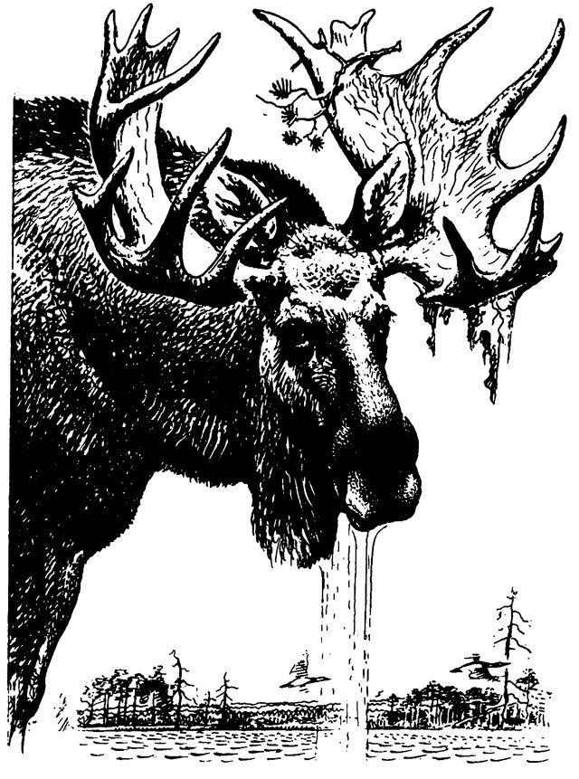 Рисса - i_002.jpg