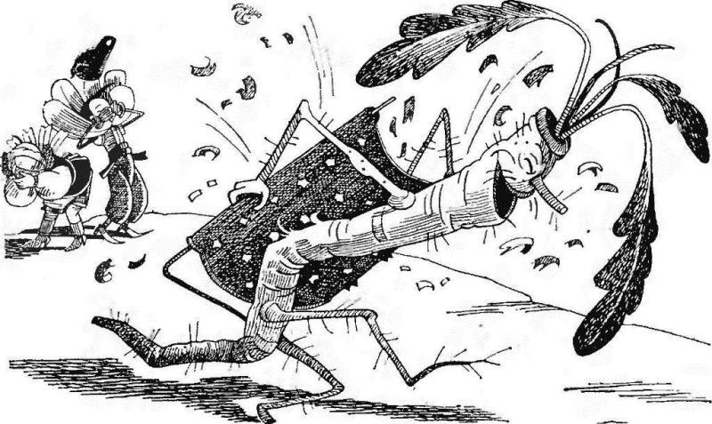 Сто пригод Барвінка та Ромашки - i_021.png