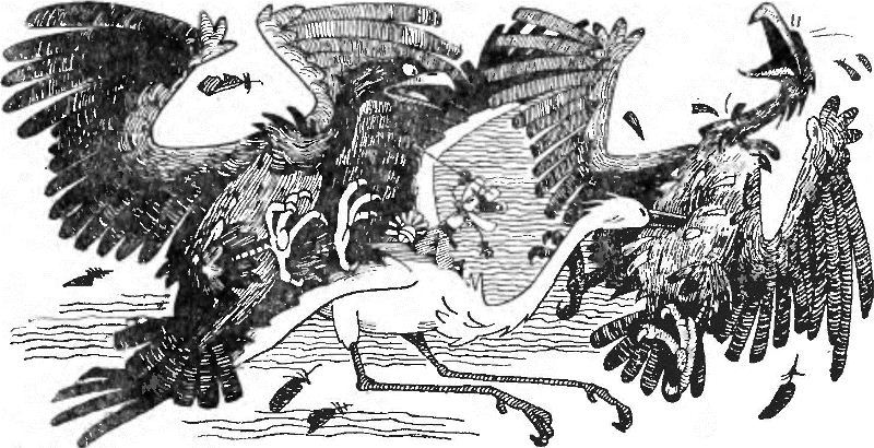 Сто пригод Барвінка та Ромашки - i_025.png