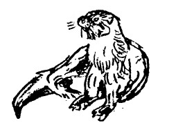 Забавные животные - i_013.jpg