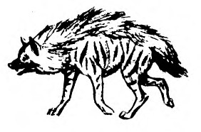 Забавные животные - i_017.jpg