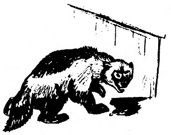 Забавные животные - i_025.jpg