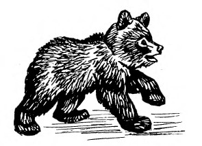 Забавные животные - i_035.jpg