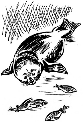 Забавные животные - i_041.jpg