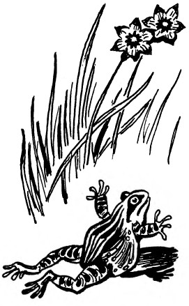 Забавные животные - i_046.jpg