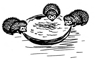 Забавные животные - i_048.jpg