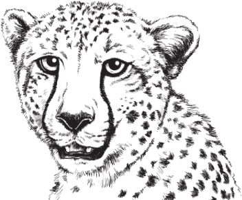 Мои питомцы (сборник). С вопросами и ответами для почемучек - _16.png