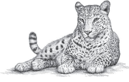 Мои питомцы (сборник). С вопросами и ответами для почемучек - _18.jpg