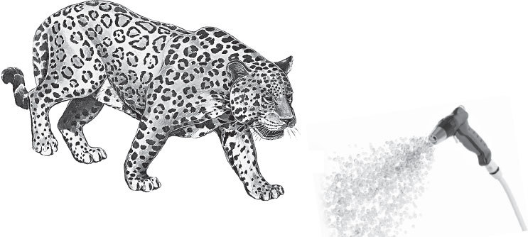 Мои питомцы (сборник). С вопросами и ответами для почемучек - _20.jpg