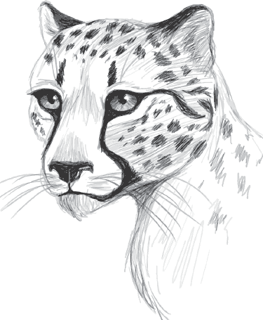 Мои питомцы (сборник). С вопросами и ответами для почемучек - _21.png