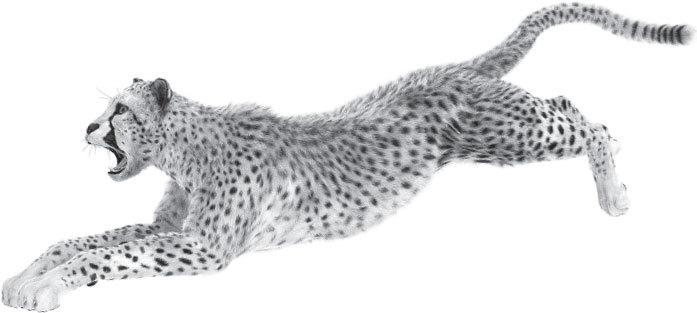 Мои питомцы (сборник). С вопросами и ответами для почемучек - _22.jpg