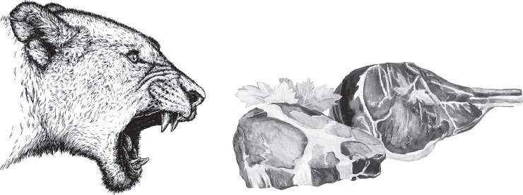 Мои питомцы (сборник). С вопросами и ответами для почемучек - _23.jpg