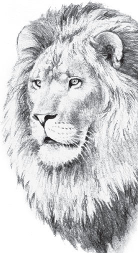 Мои питомцы (сборник). С вопросами и ответами для почемучек - _24.jpg