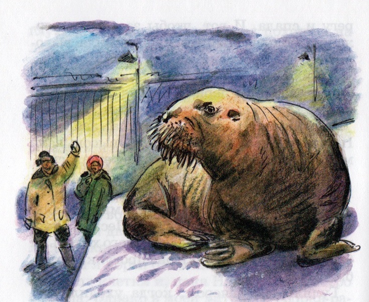 Рассказы - img20170913_11545443.jpg