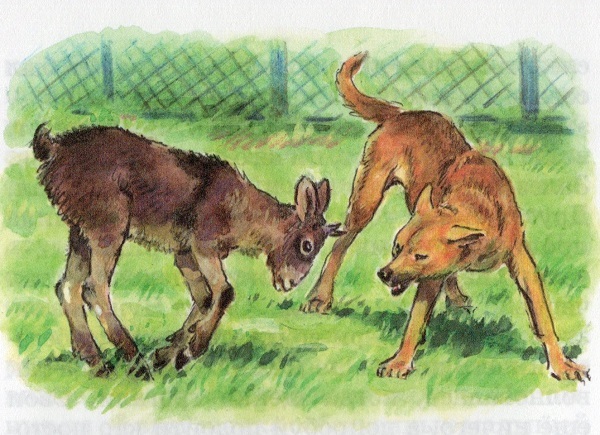 Рассказы - img20170913_12024957.jpg