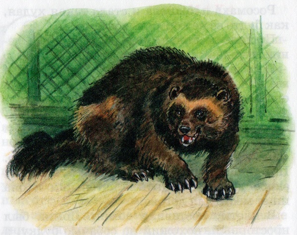 Рассказы - img20170913_12294770.jpg