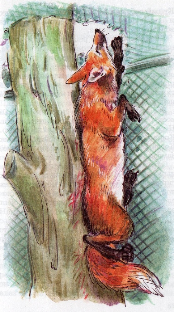 Рассказы - img20170913_12330299.jpg