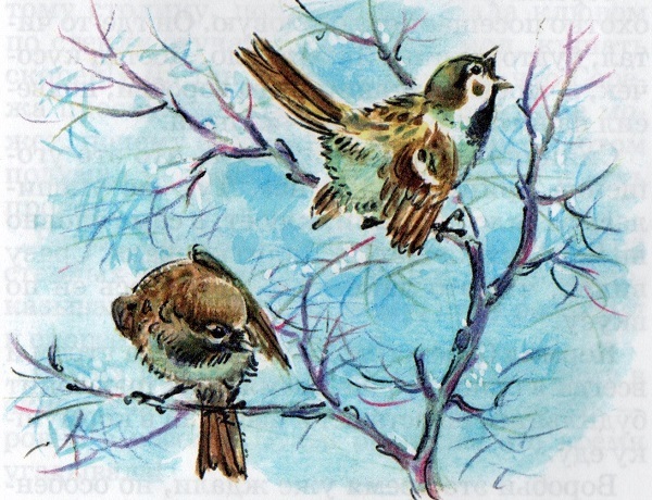 Рассказы - img20170913_12371510.jpg